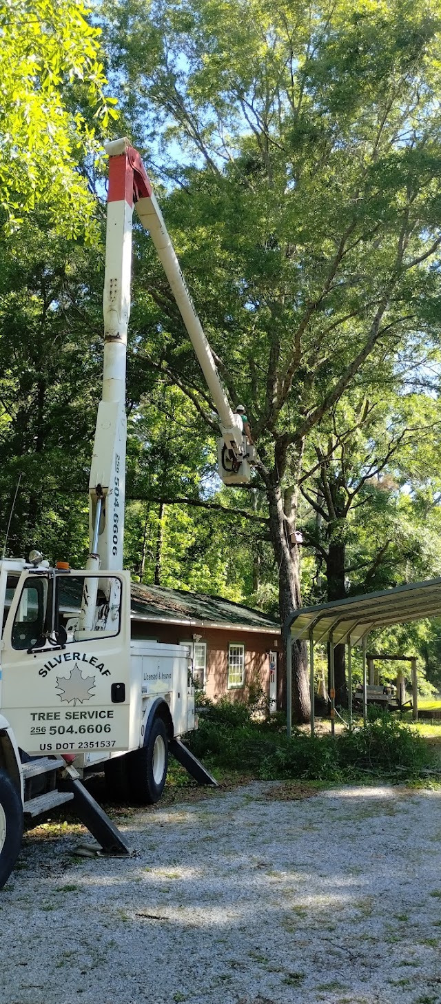 A-1 Watson Tree Service photo 3