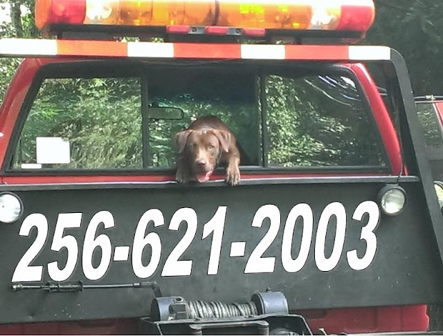 AA Wrecker Service
