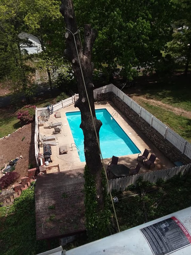 AAAA+ Phillips Tree Service, Gadsden, Alabama photo 2
