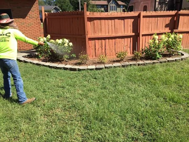 ABC Tree & Landscaping Services