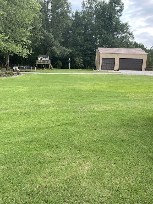 Ace Tree Services & Stump Grinding photo 2