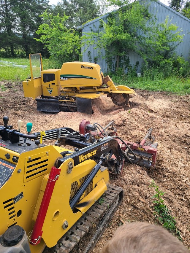 Ace Tree Services & Stump Grinding photo 3