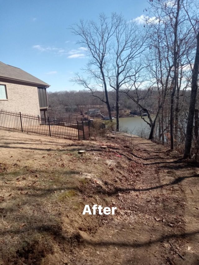 Affordable Tree Service Inc photo 2