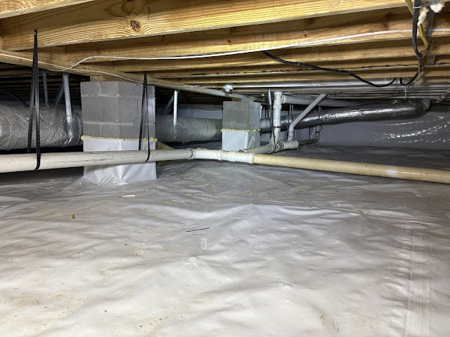 Alabama Mold And Water, LLC