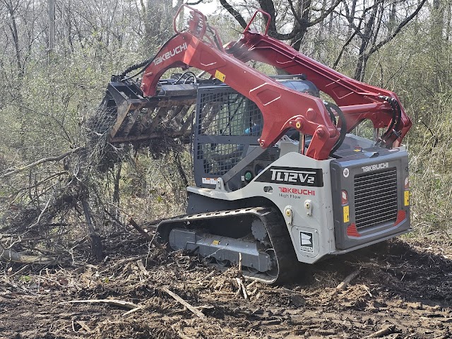 Alabama Urban Forestry photo 4