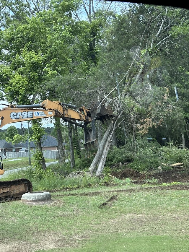 All American Tree Service photo 4
