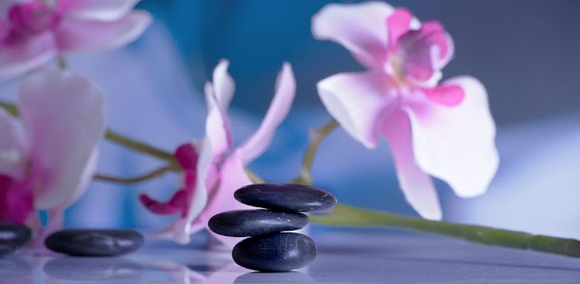 Allay Integrative Massage Therapy Center LLC (E-2235)
