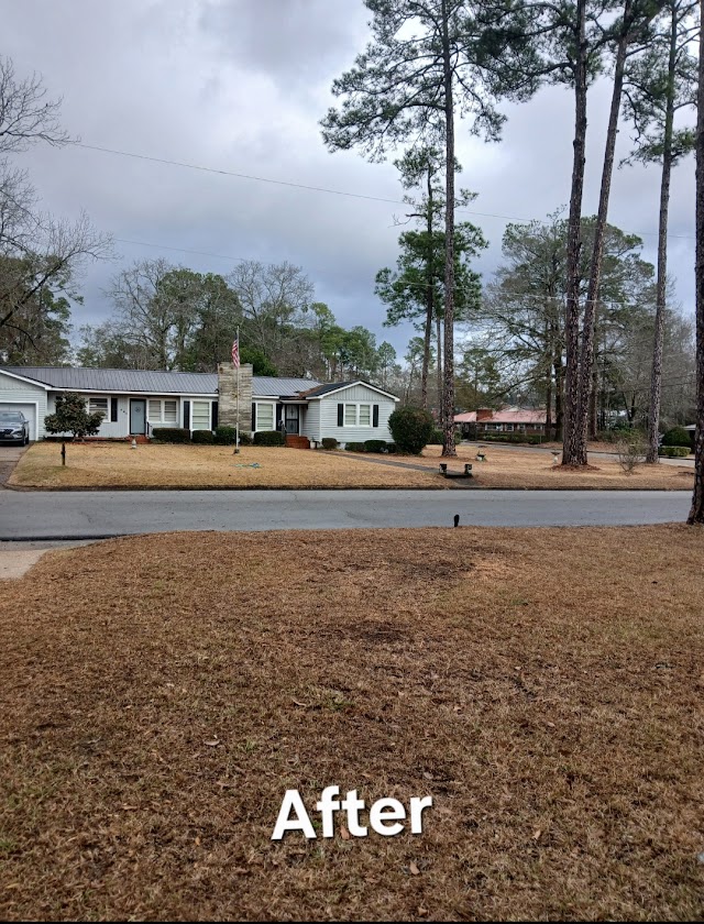 Around The Corner Tree Service LLC