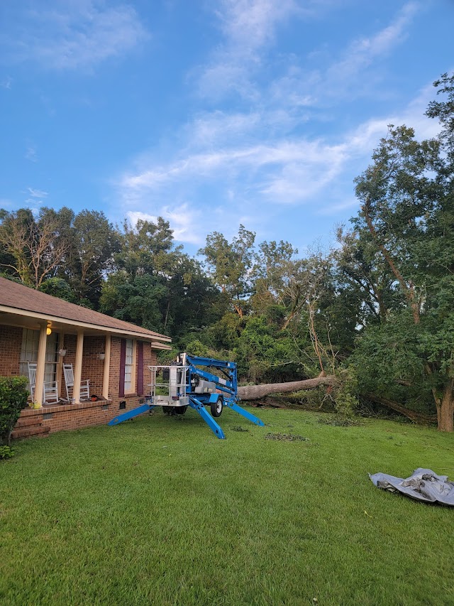 Around The Corner Tree Service LLC photo 2