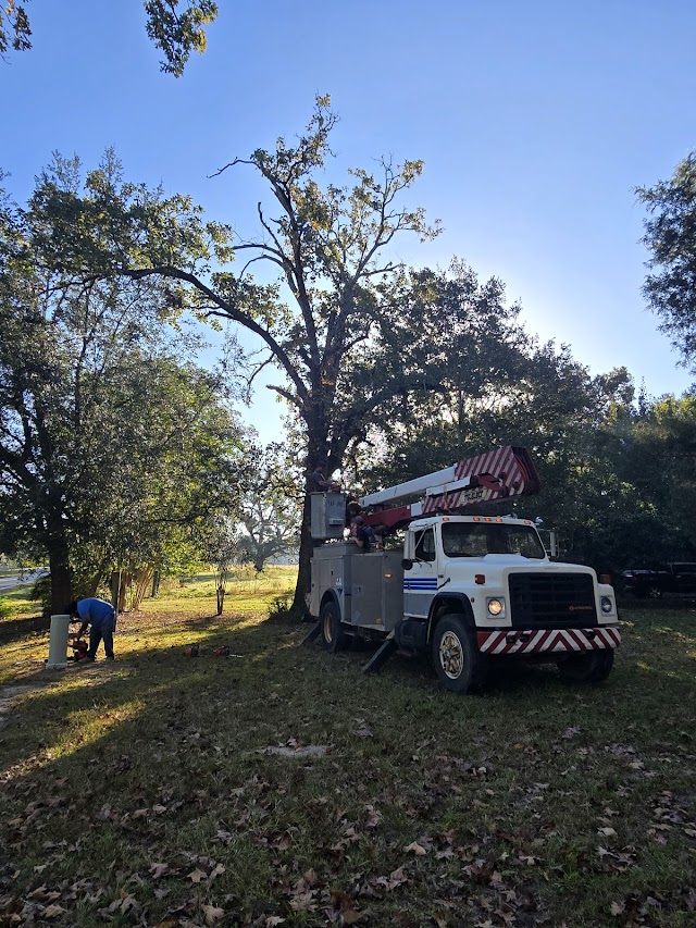 Around The Corner Tree Service LLC photo 3