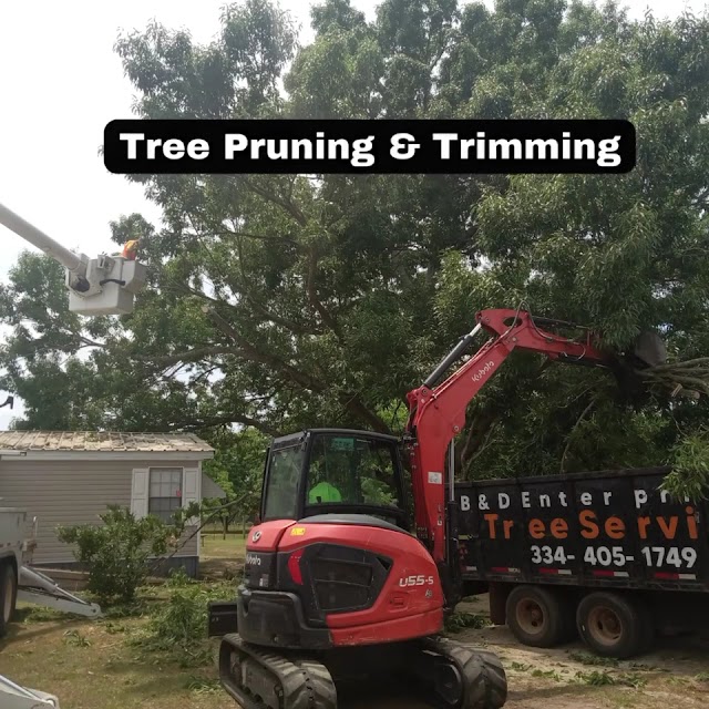 B&D Tree Service photo 4