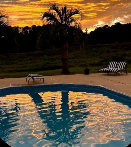 Bama Pool Services, LLC