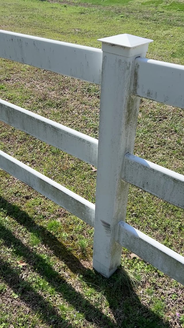 Big Sig's Pressure Washing photo 3