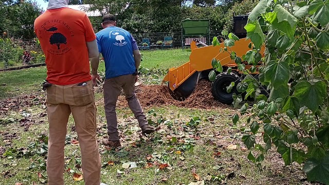 Bigelow's Tree Service and Stump Grinding photo 3