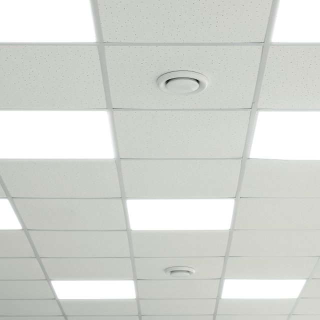 Birmingham Ceilings and Walls photo 3