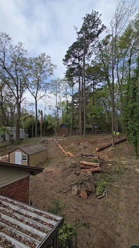Brothers Tree Service LLC photo 2