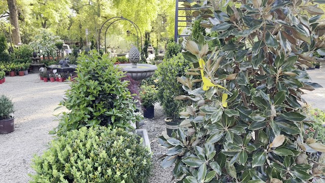 Buds N’ Blossoms: Nursery and Landscape Design photo 3