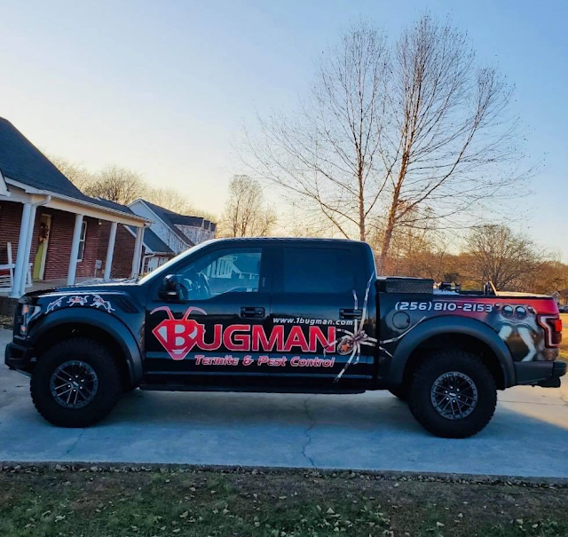 Bugman photo 2