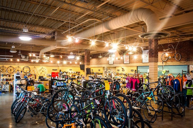 Cahaba Cycles photo 4