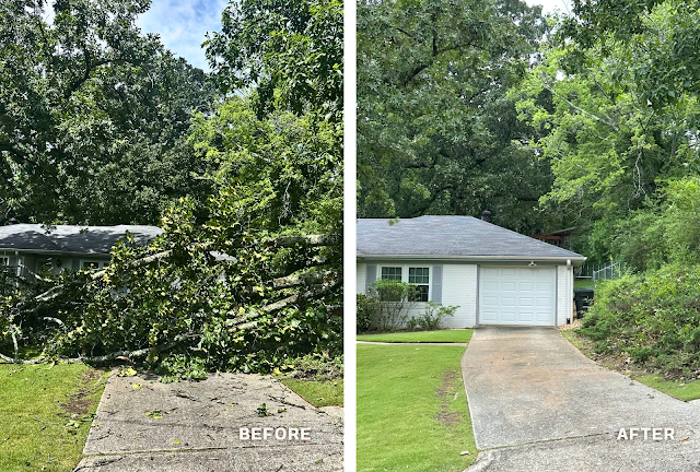 Cahaba River Tree Service photo 2