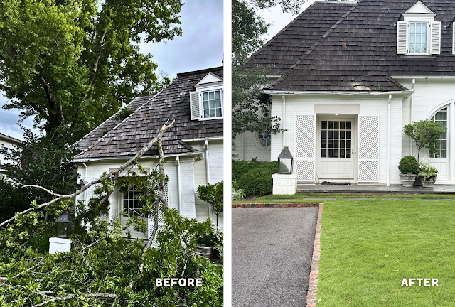 Cahaba River Tree Service photo 3