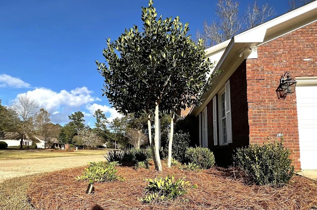 Carden & Company Landscaping and Garden Services photo 2