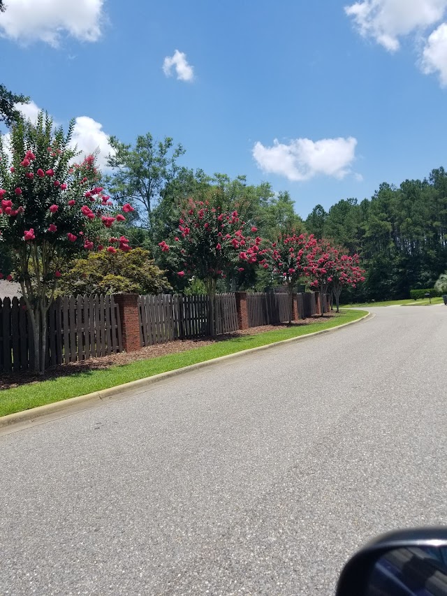 Carden & Company Landscaping and Garden Services photo 4