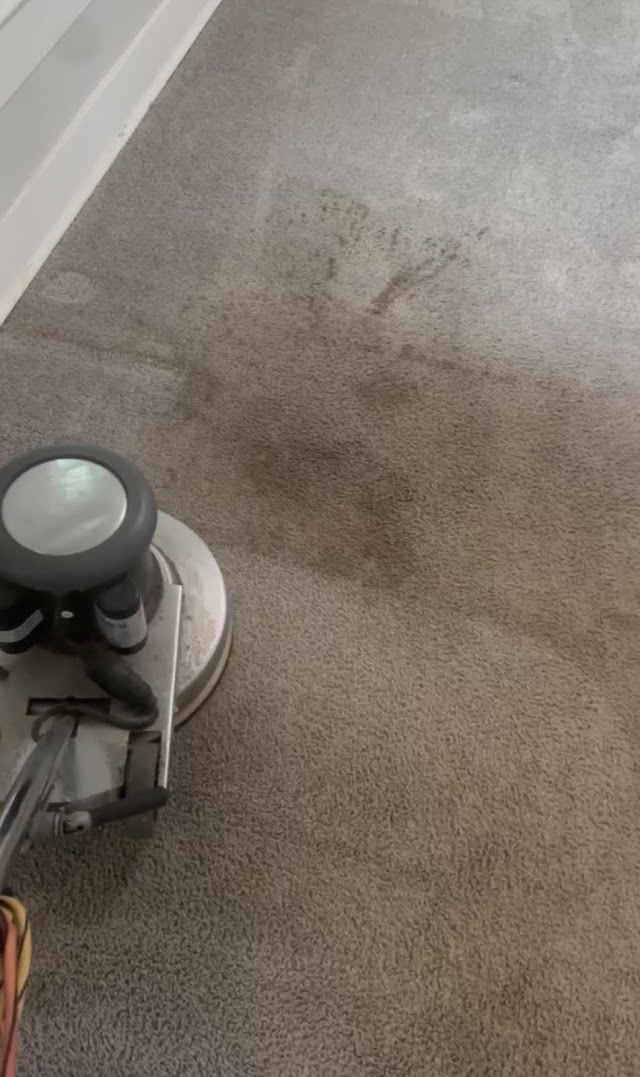 CitruSolution Carpet Cleaning of Birmingham photo 2