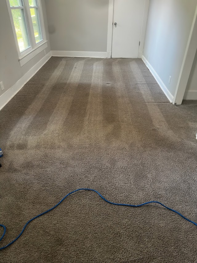 CitruSolution Carpet Cleaning of Birmingham photo 4