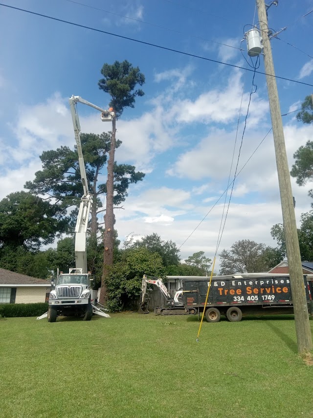 Complete Tree Service photo 3