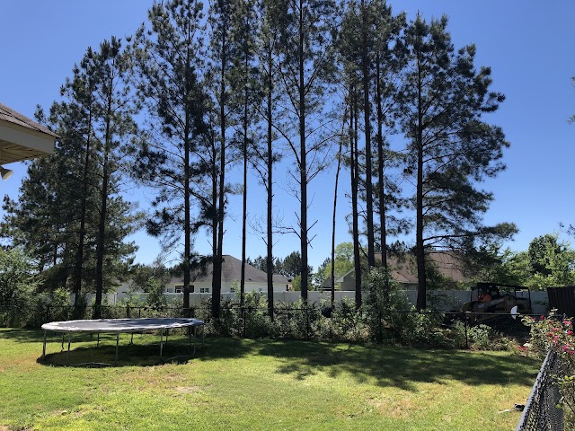 Complete Tree Service photo 4