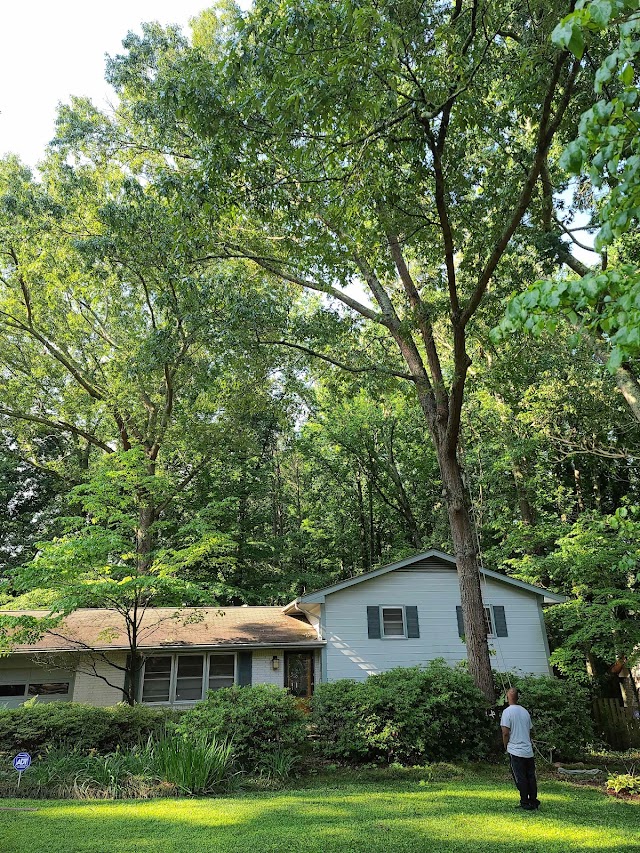 Dekalb Tree Service photo 2