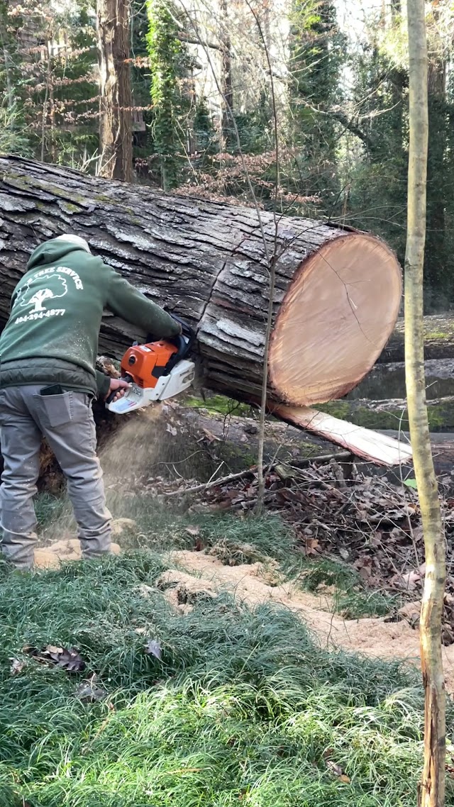 Dekalb Tree Service photo 3