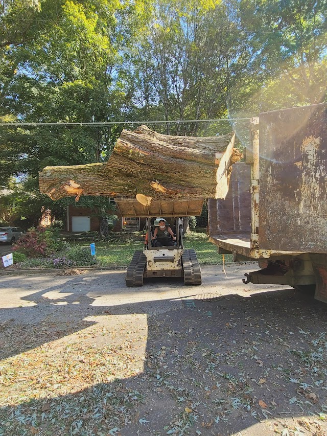 Dekalb Tree Service photo 4