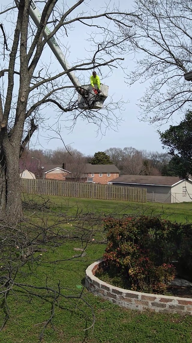 Diamond Tree Service photo 2
