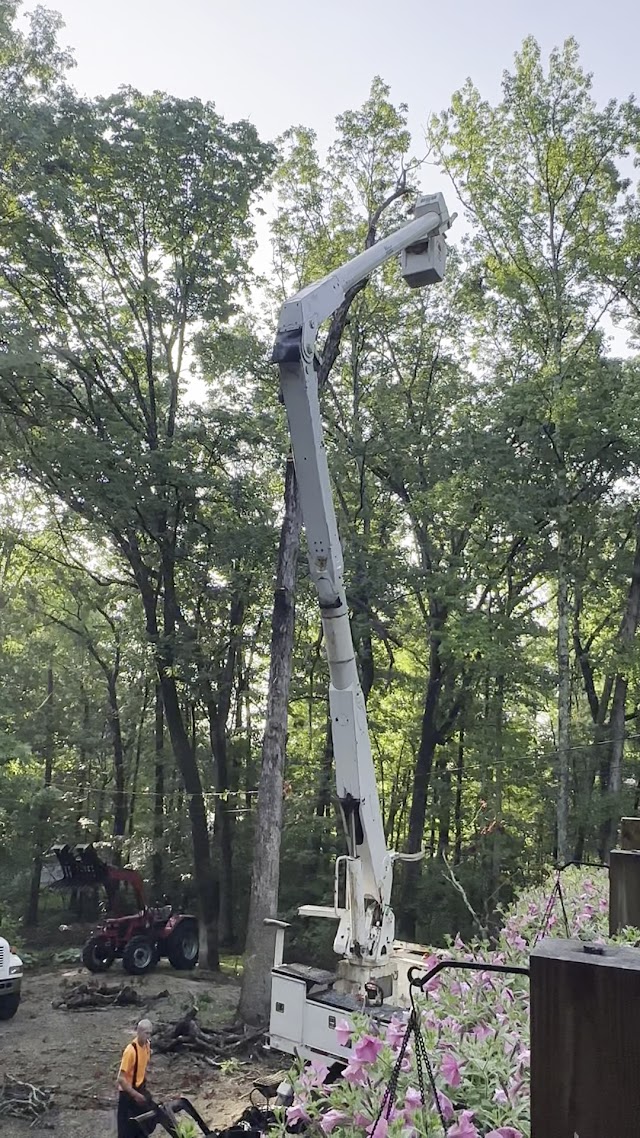 Diamond Tree Service photo 3