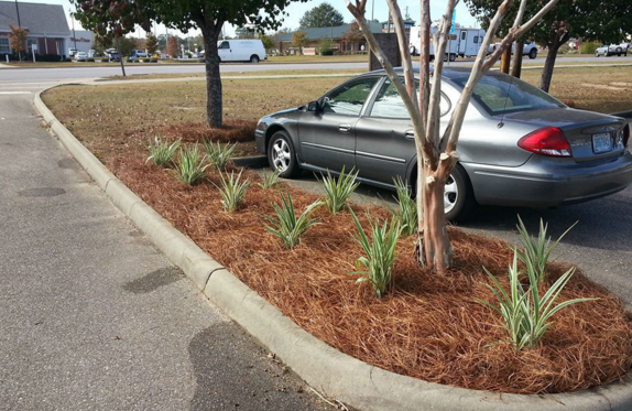 Dig It Landscaping and Irrigation photo 2