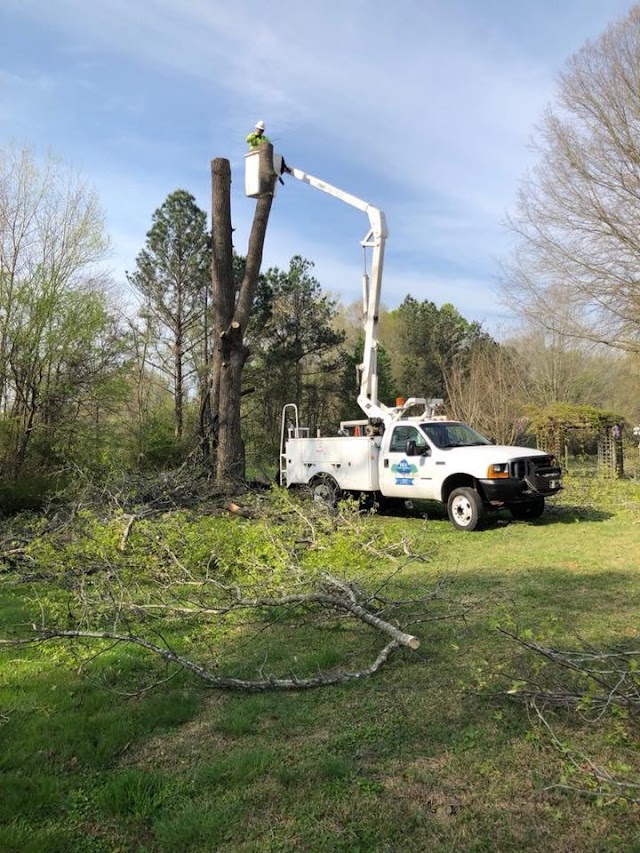 DLC Tree Services LLC