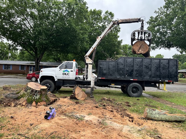 DLC Tree Services LLC photo 2