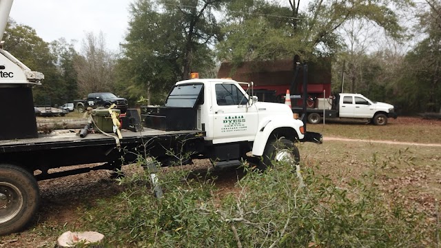 Dyess Tree Service
