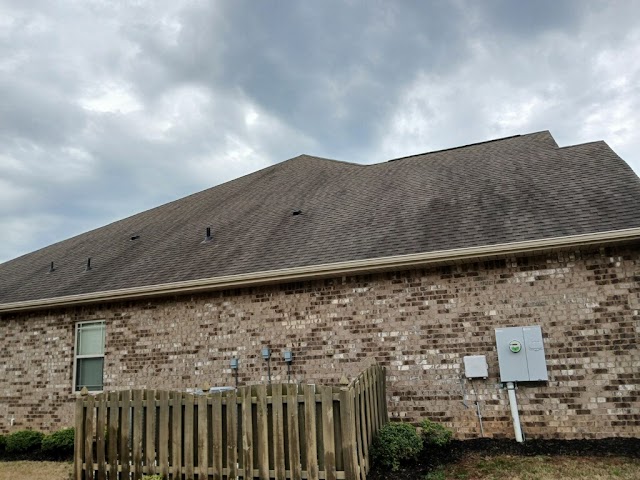 Dynamic Pressure Washing and Roof Cleaning LLC photo 3