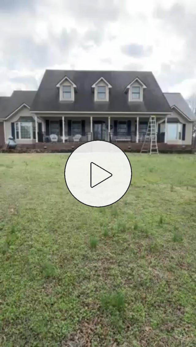 Dynamic Pressure Washing and Roof Cleaning LLC photo 4