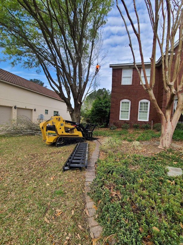 EA Tree Service photo 2