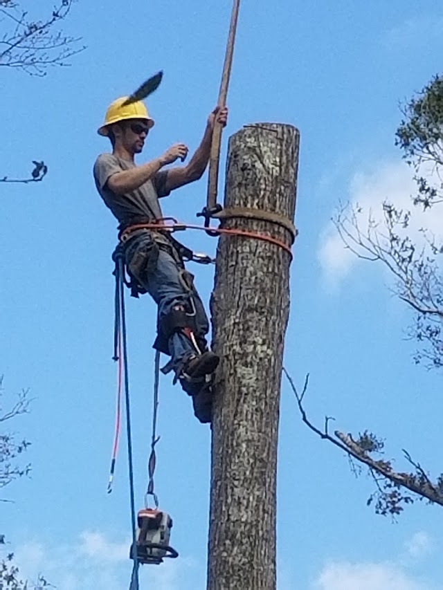 ETS Tree Service