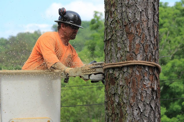 Evans Tree Service, Inc.