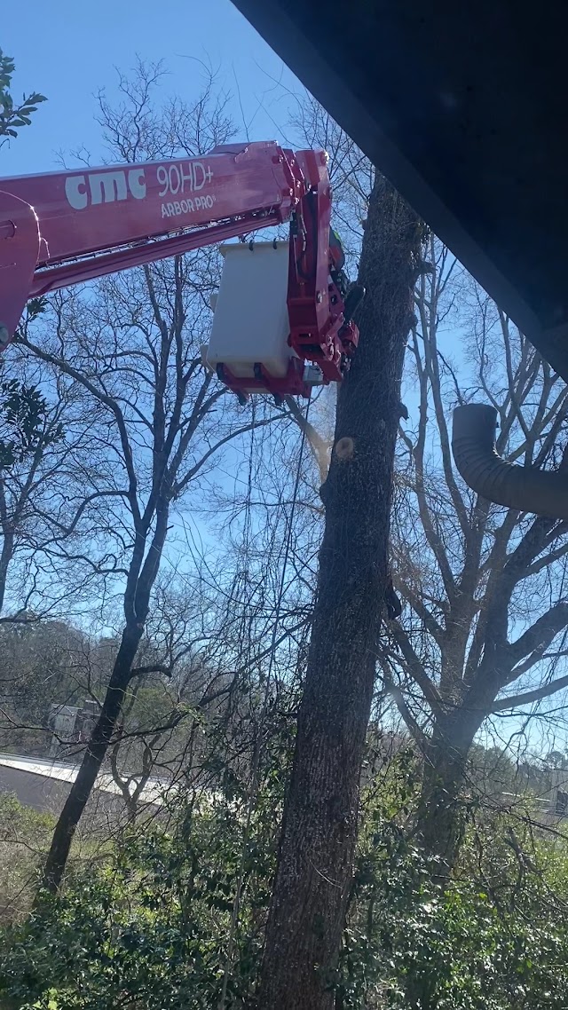 Evans Tree Service, Inc. photo 3