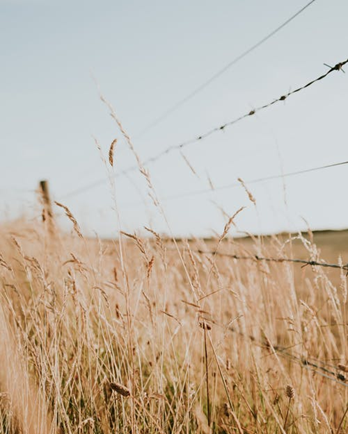 Fence Company Dothan photo 2