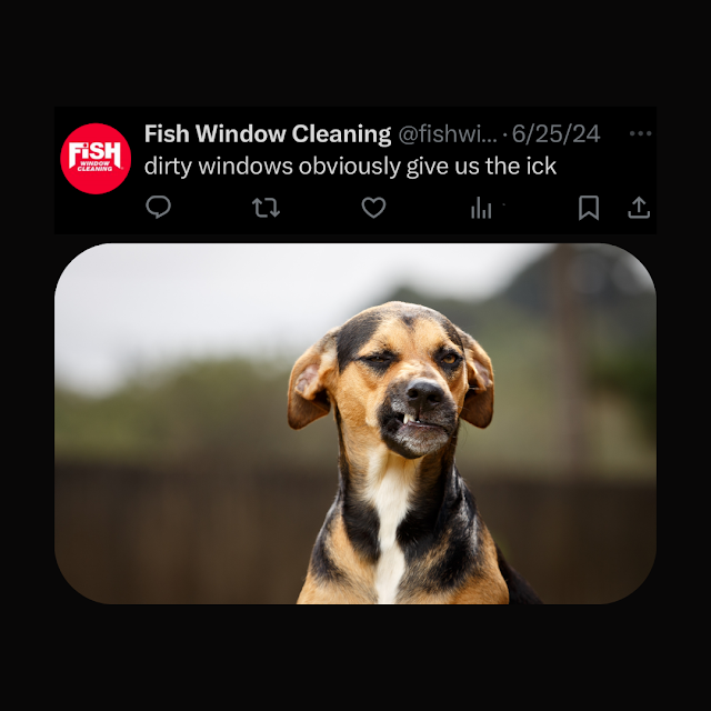 Fish Window Cleaning photo 4