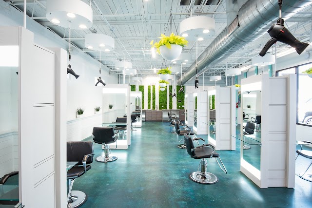 Forecast Salon