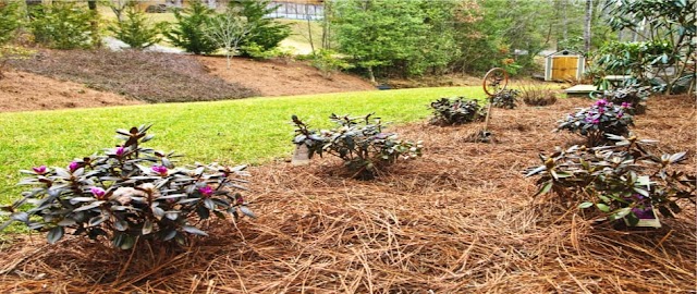 Garcia Pinestraw And Lawn Care